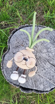 Onion