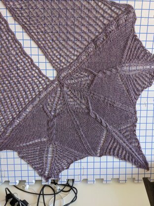 Lace Shawl