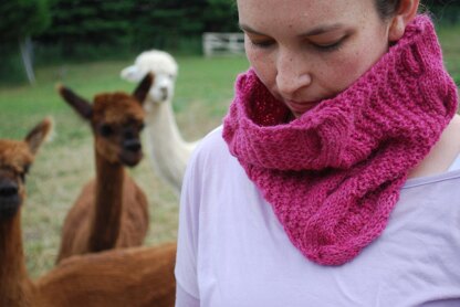 Gambolling Cables Cowl