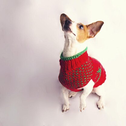 The Juno Christmas Jumper