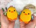 Pip the Chick (No-Sew)