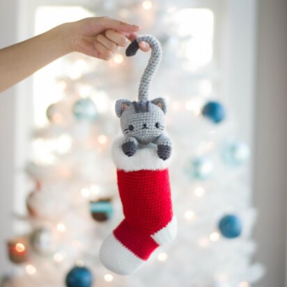 Chester the Christmas Cat