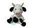 Camila the Cow
