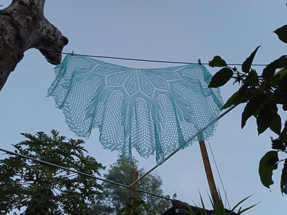 Ice Flakes shawl