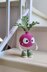 Radish