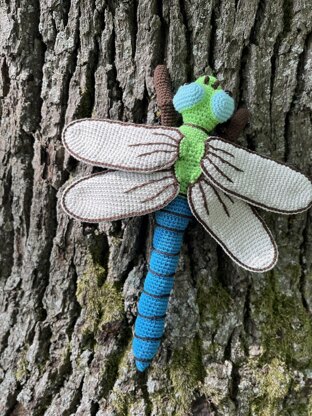Dragonfly