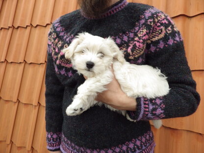 Apple season sweater, gift to my friend L