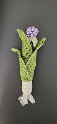 Leek with flower pod