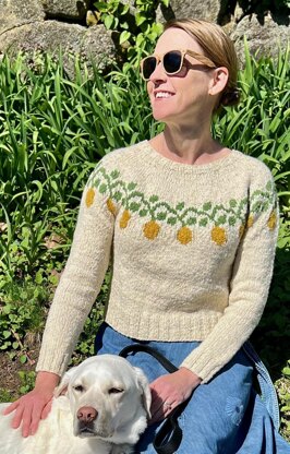 Lemon Vine Pullover