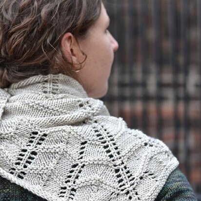 Duke St. Shawl