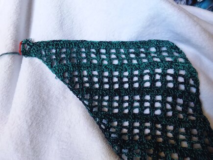 Flora shawl in Its a Wrap Rainbow Not blocked #2