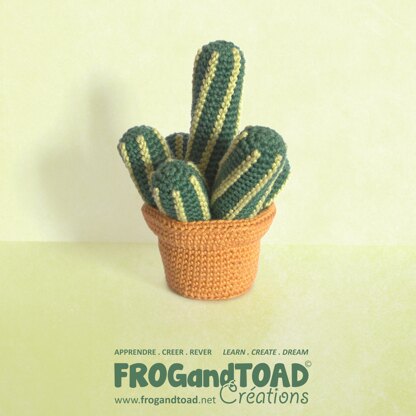 CACTUS Gold Lace Lady Finger / Doigts de Fée - AMIGURUMI CROCHET - FROGandTOAD Creations