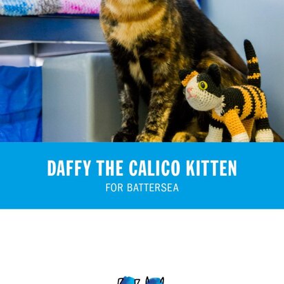 Daffy the Cat for Battersea