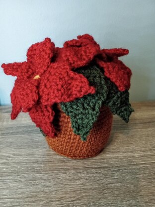 Pot of Poinsettia