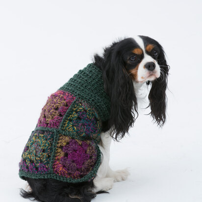 Hippie Dog Sweater in Lion Brand Unique - L32306