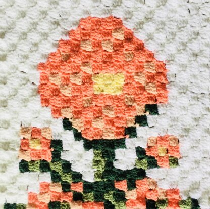 Peach Carnation Flower C2C Graphgan Square