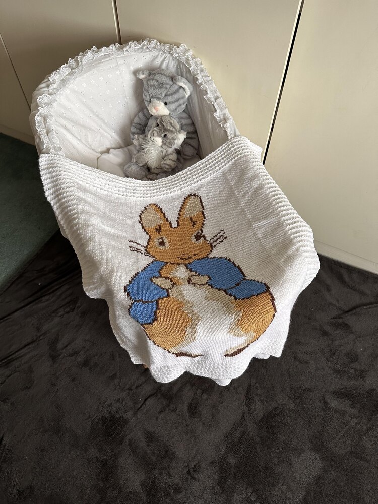 Peter rabbit best sale blanket baby