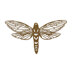 Sizzix Thinlits Die Set - Perspective Moth by Tim Holtz