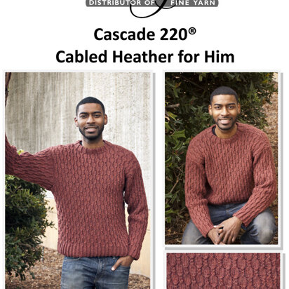 Cabled Heather For Him in Cascade 220 - W315