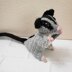 Sassy the Sugar Glider Amigurumi