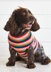 Crochet Dog Coat Set - Crochet Pattern For Pets in Debbie Bliss Rialto Aran by Debbie Bliss