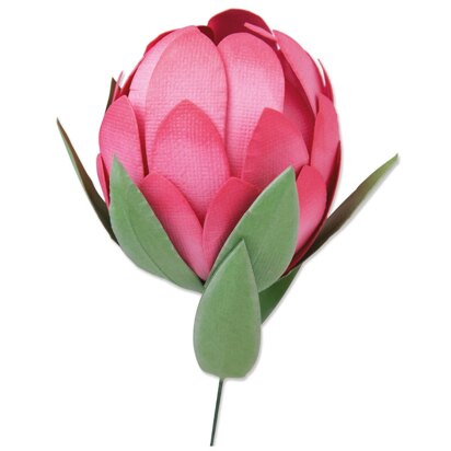 Sizzix Bigz Die - Protea by Olivia Rose