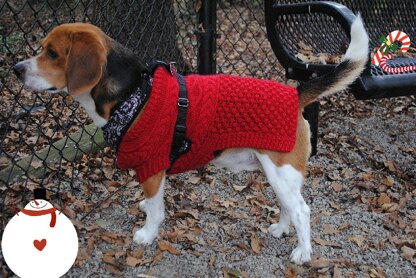 Canine Christmas Sweater