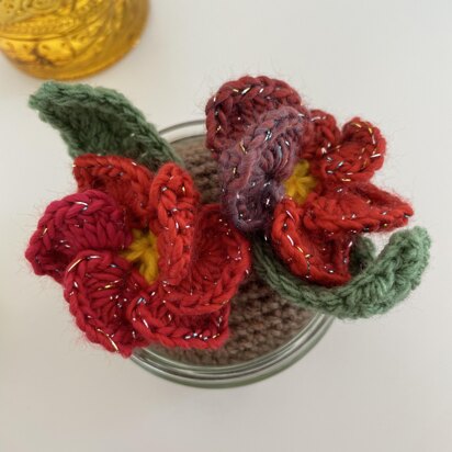 Pansies Flower Gift