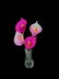 Crochet Calla Lily flowers