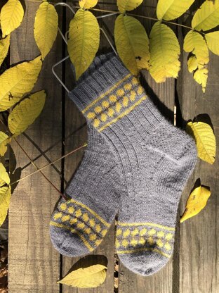 Autumn Fog Socks
