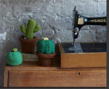 Desert Cactus Amigurumi Crochet Pattern