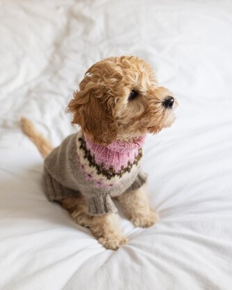 Dog Yoke Sweater Kit