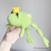 Fernando the Frog Prince Amigurumi Crochet Pattern by erinmaycrochet