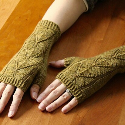 Elodia Mitts