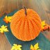 Pumpkin Baby Hat