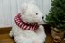 Peppermint the Polar Bear