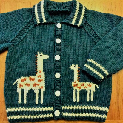 Giraffe Cardigan in Schachenmayr Bravo DK