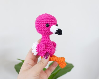 Baby Flamingo