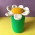 Daisy Storage Jar