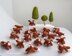 Waldorf foxes and 3 trees