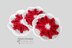 Poinsettia Coasters