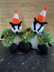 (Glasgow) Badger Dressed as a Christmas Tree - Chocolate Orange Cover/Stuffed Toy, Knitting Pattern