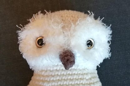 Gwenn the Snowy Owl