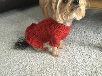 Blue Knitted Dress for Dogs