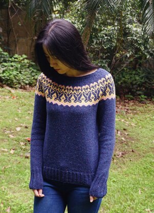 Butterfly Yoke Pullover