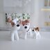 Wire fox terrier