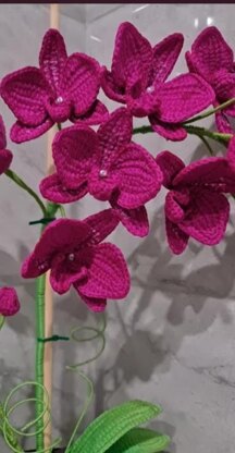 Crochet Orchid flower