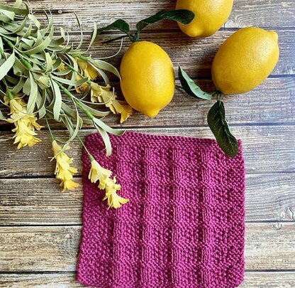 Curtain Call Dishcloth