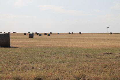 Amarillo Long