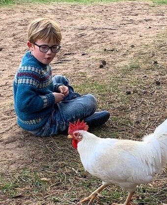 The Chicken Tamer